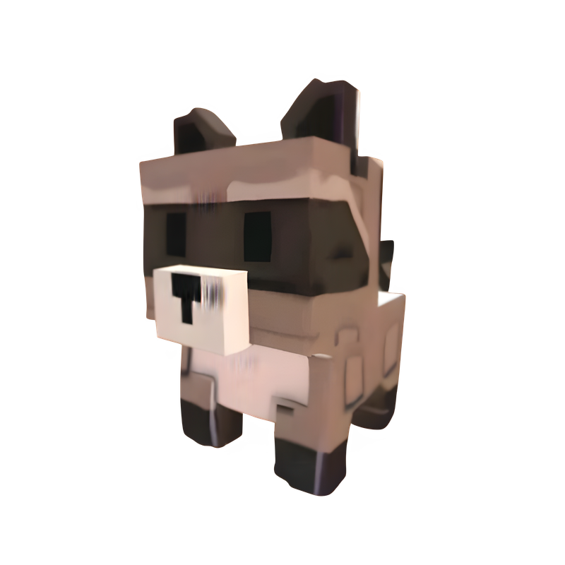 Raccoon Pet